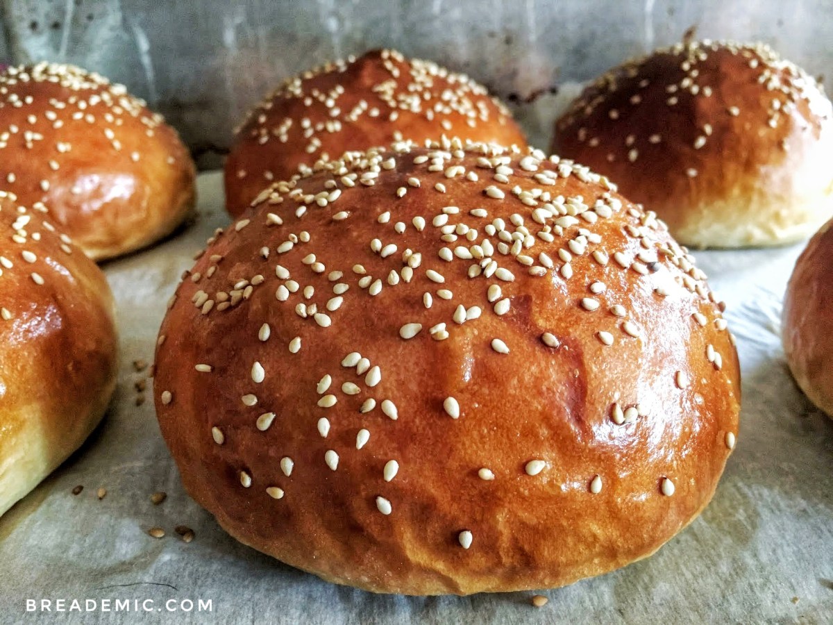 Week 10: Burger&nbsp;Buns