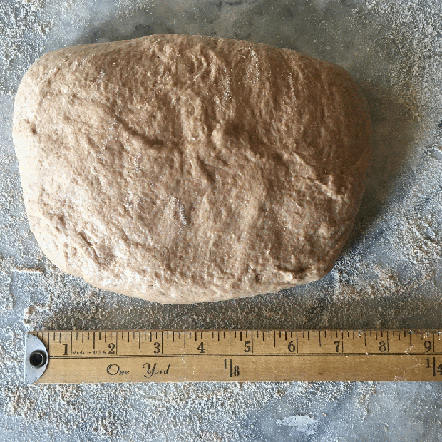 This image has an empty alt attribute; its file name is folding-whole-wheat-bread-for-loaf-pan-1.gif