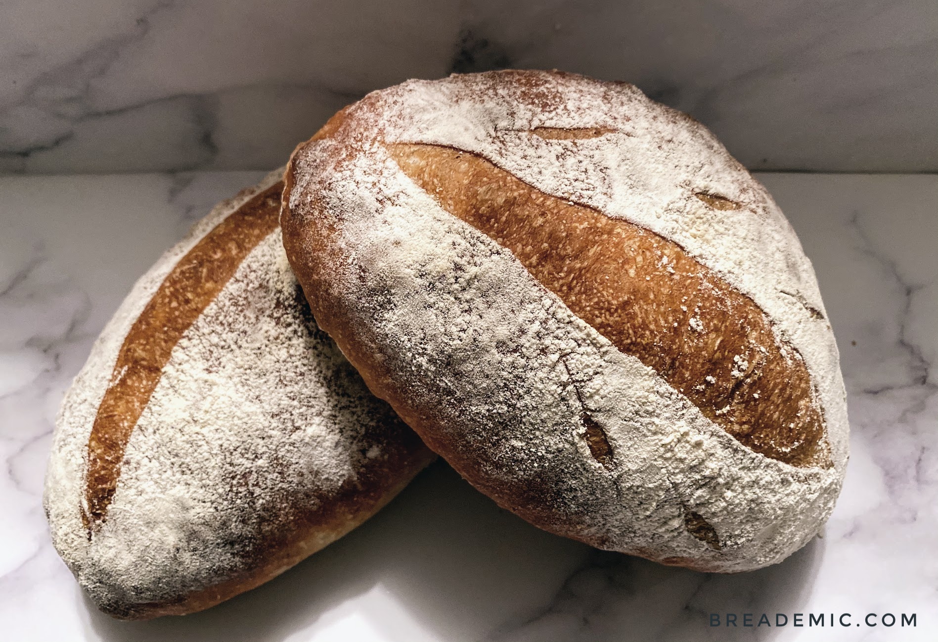 Week 36: Rustic Bâtard – Breademic